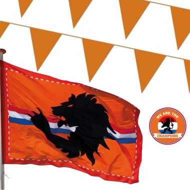 Oranje versiering buiten pakket 2x mega holland vlag + 300 meter vlaggetjes