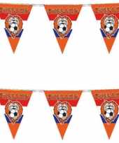 4x stuks oranje vlaggenlijn voetbal leeuw 10 meter