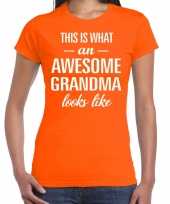 Awesome grandma cadeau t-shirt oranje voor dames